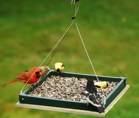 hanging tray feeder